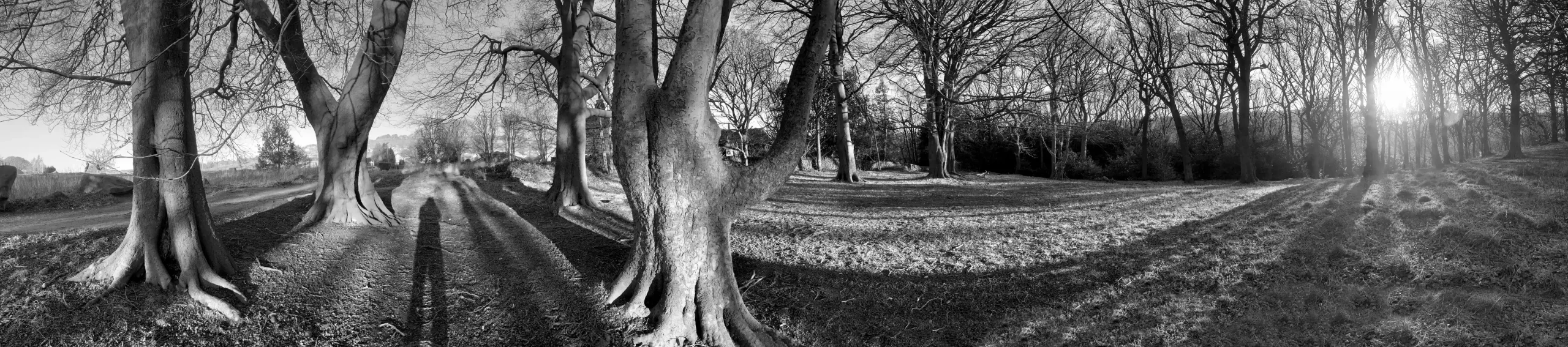 Shipley Glen Winter Sun BW