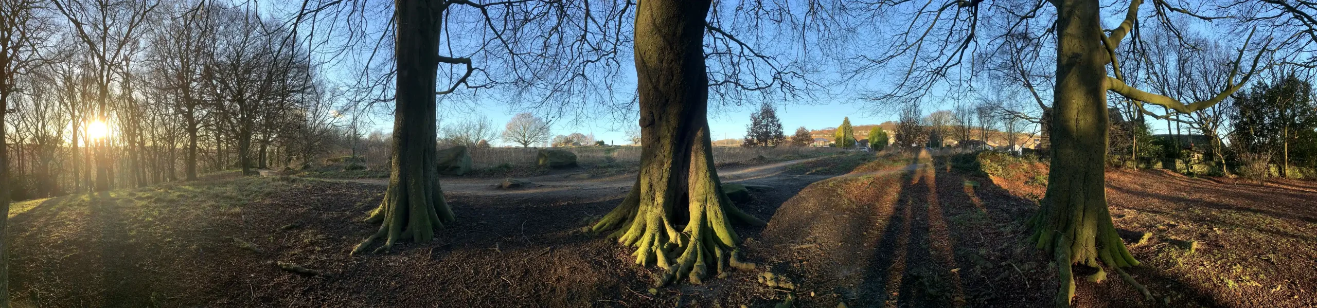 Shipley Glen Winter Sun