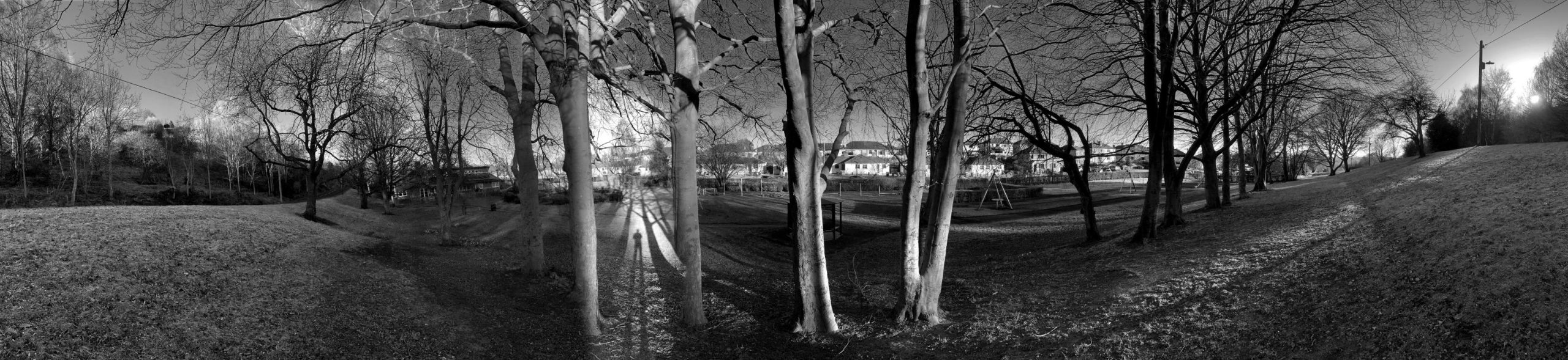 Late Afternoon in Baildon