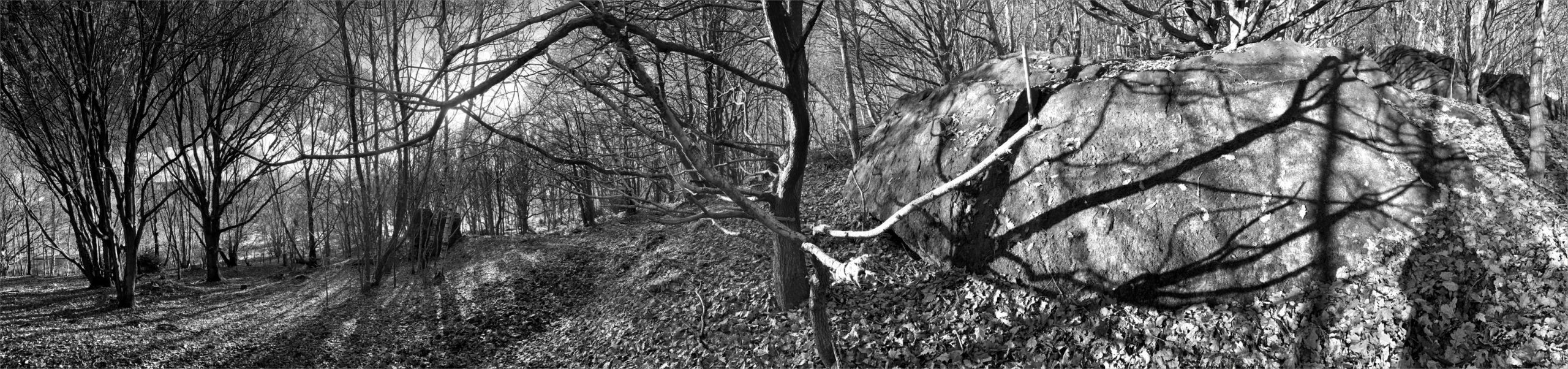 Walk to Baildon Bank