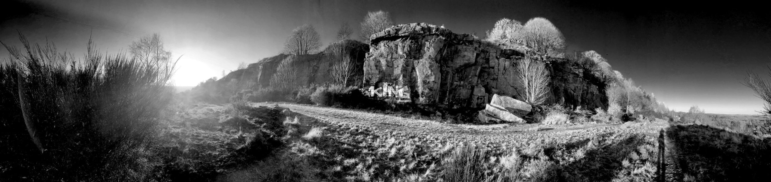 Late December on Baildon Bank