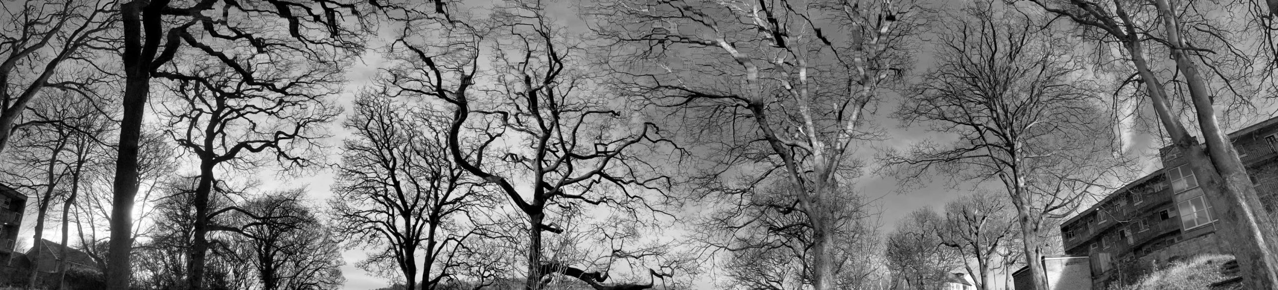 Walk from Baildon to Shipley