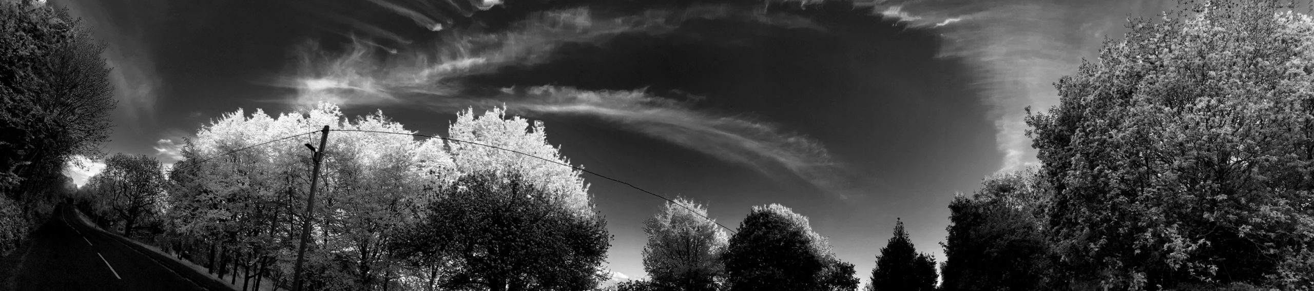 Early Evening on Baildon Bank