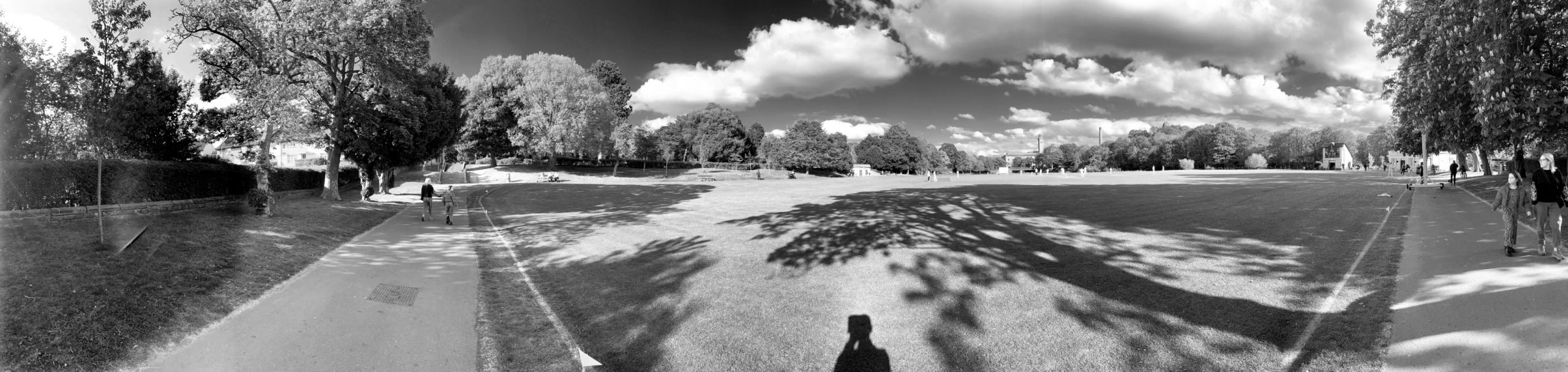 Cricket at Roberts Park