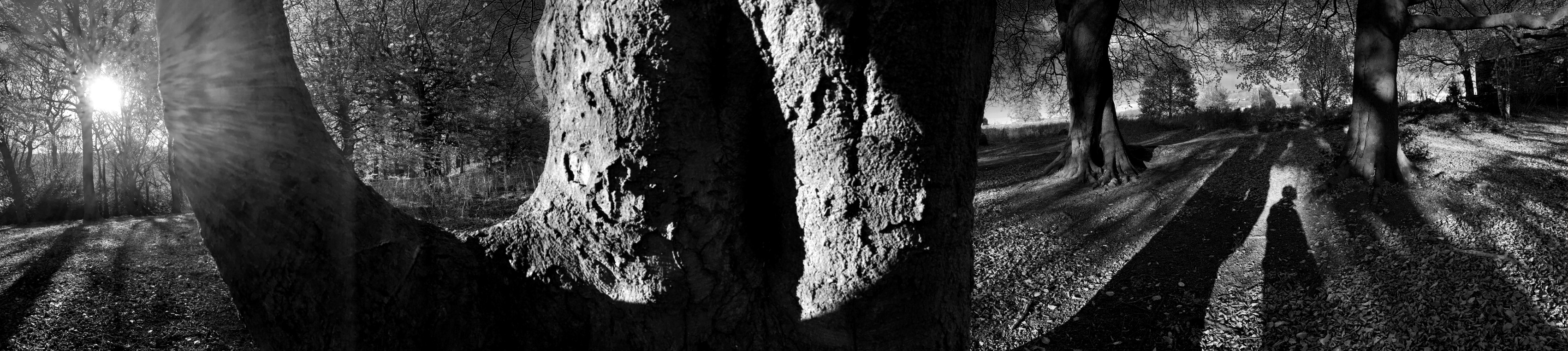 Shipley Glen: Shadow Man