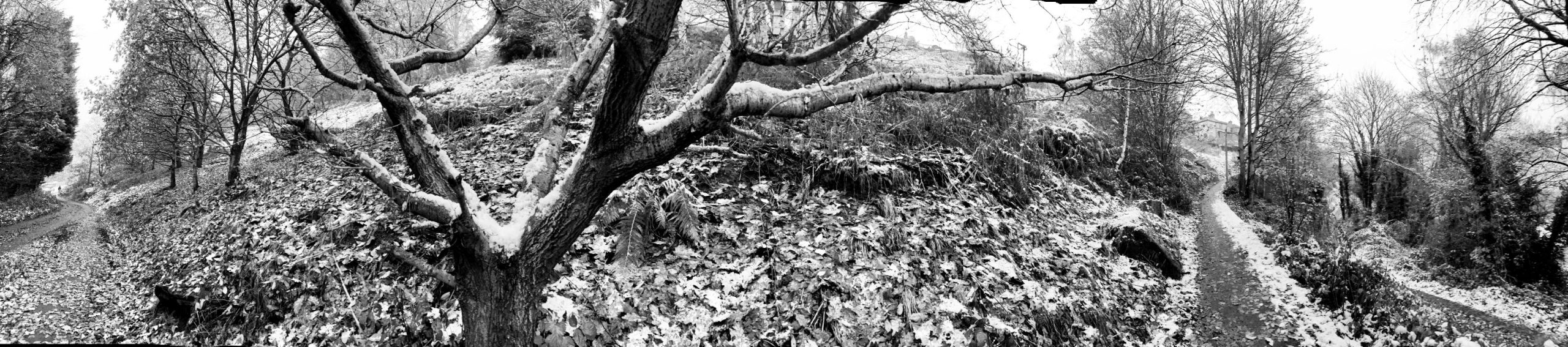 Walk into Baildon Via Lane End