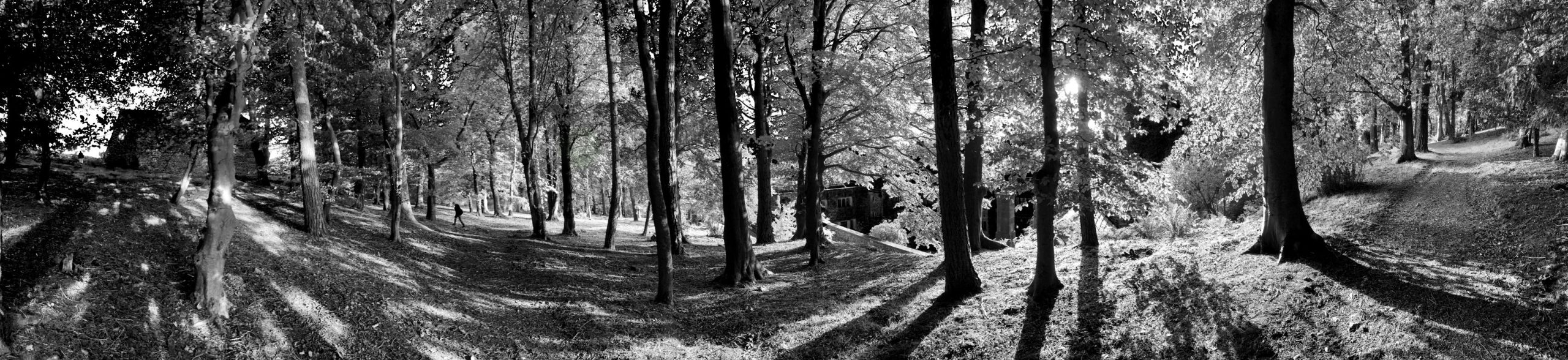 Parceval Hall Gardens