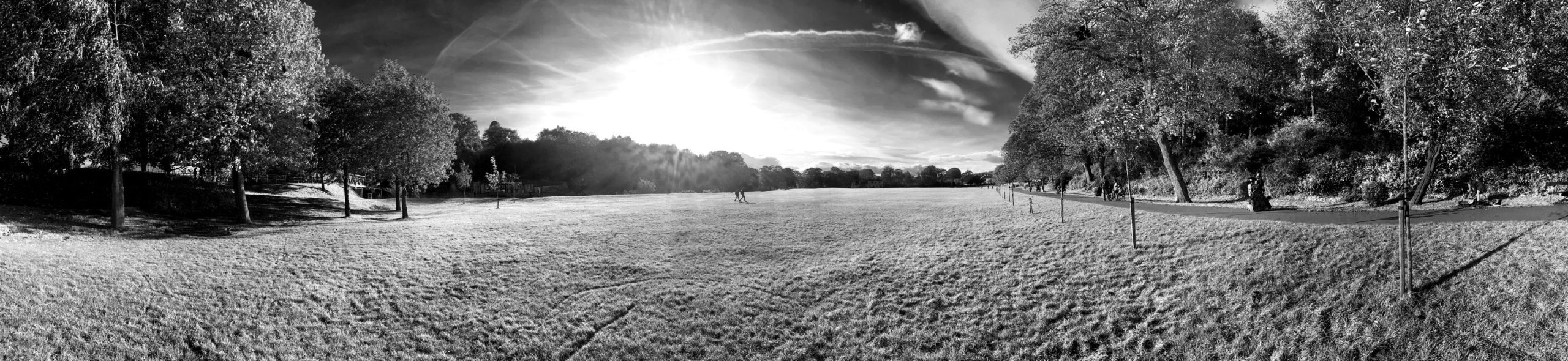 Sunbursts in Roberts Park