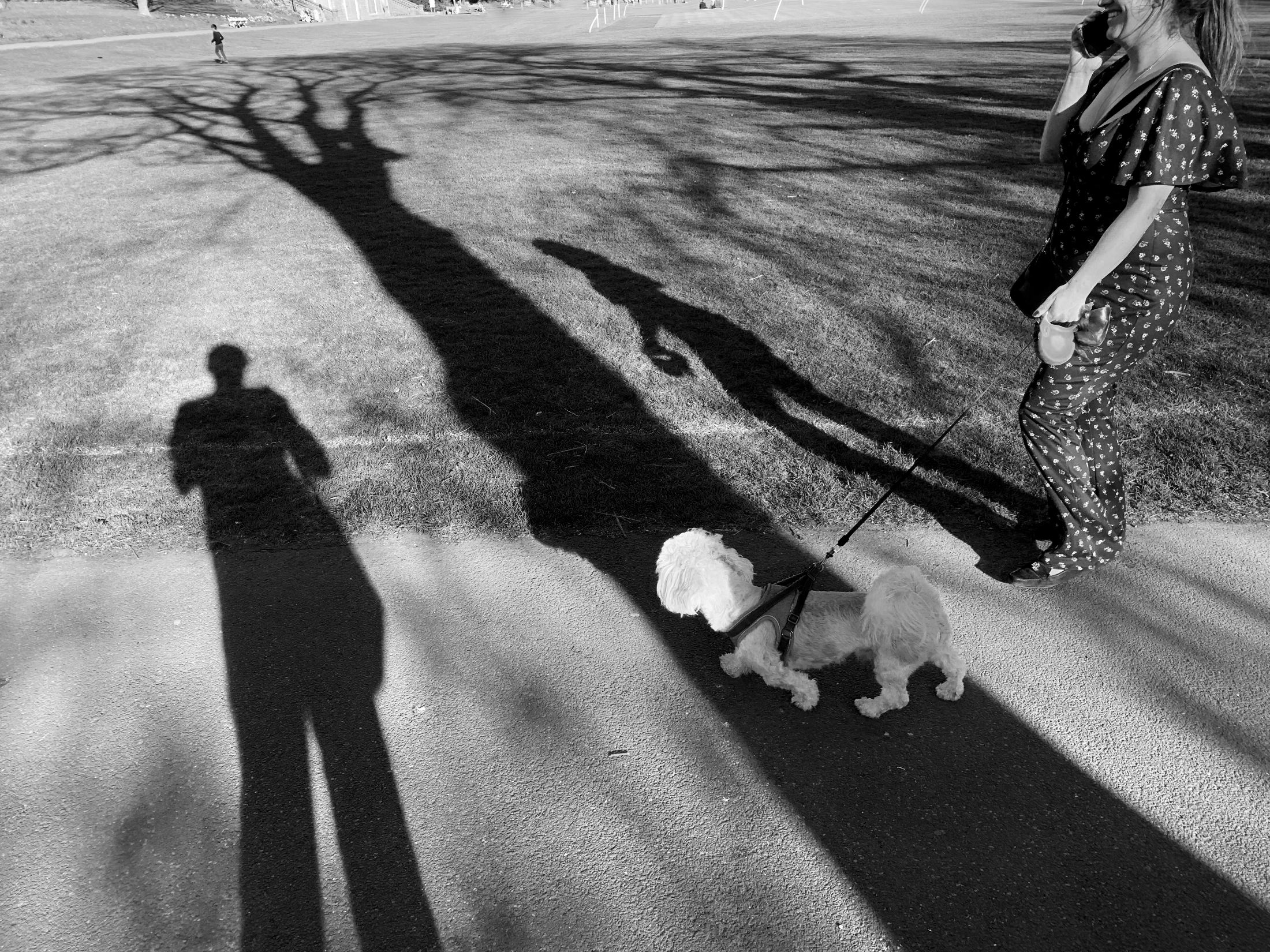 Roberts Park Passers By