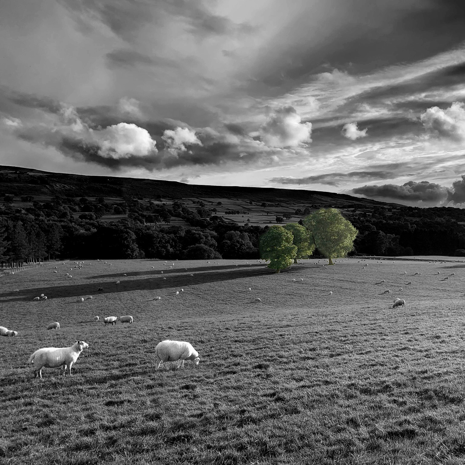 Birthday Walk August 25 2023