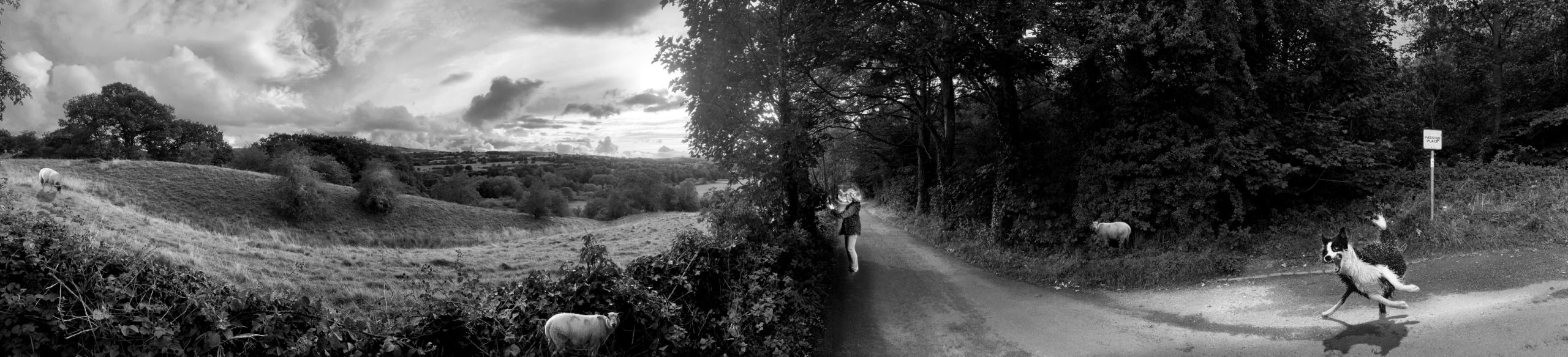 Birthday Walk August 25 2023