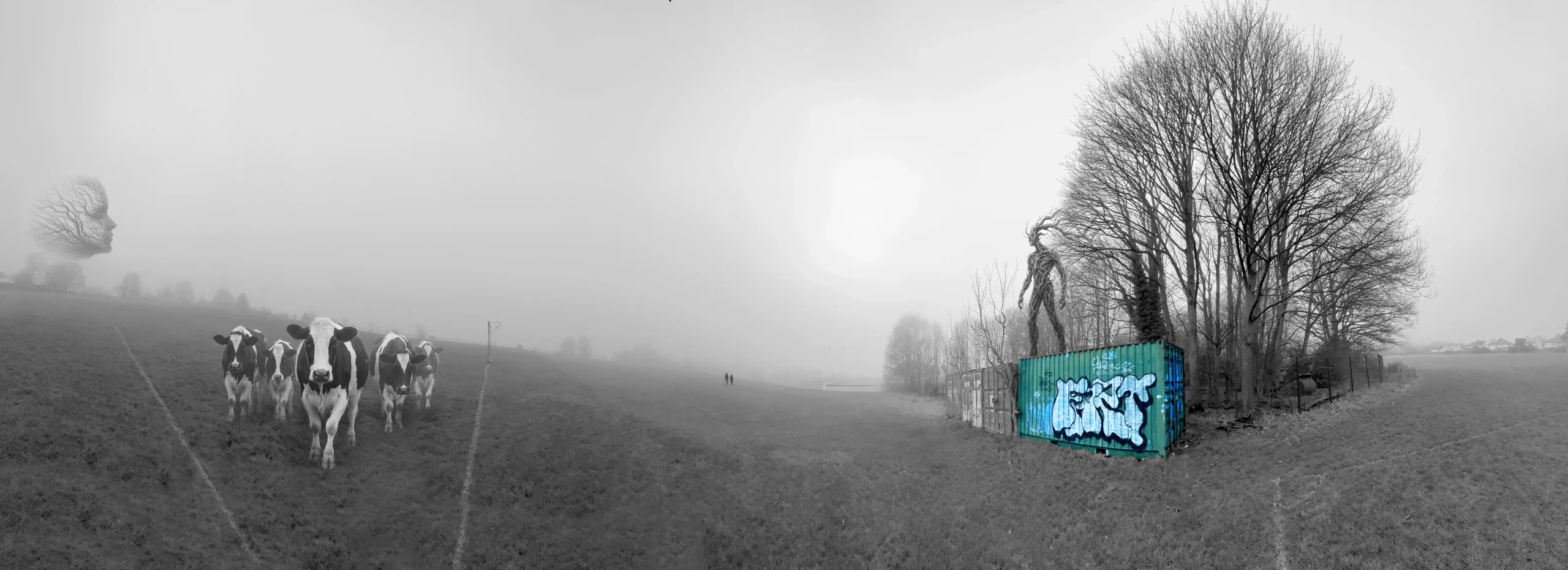 Baildon Foggy Day Collage