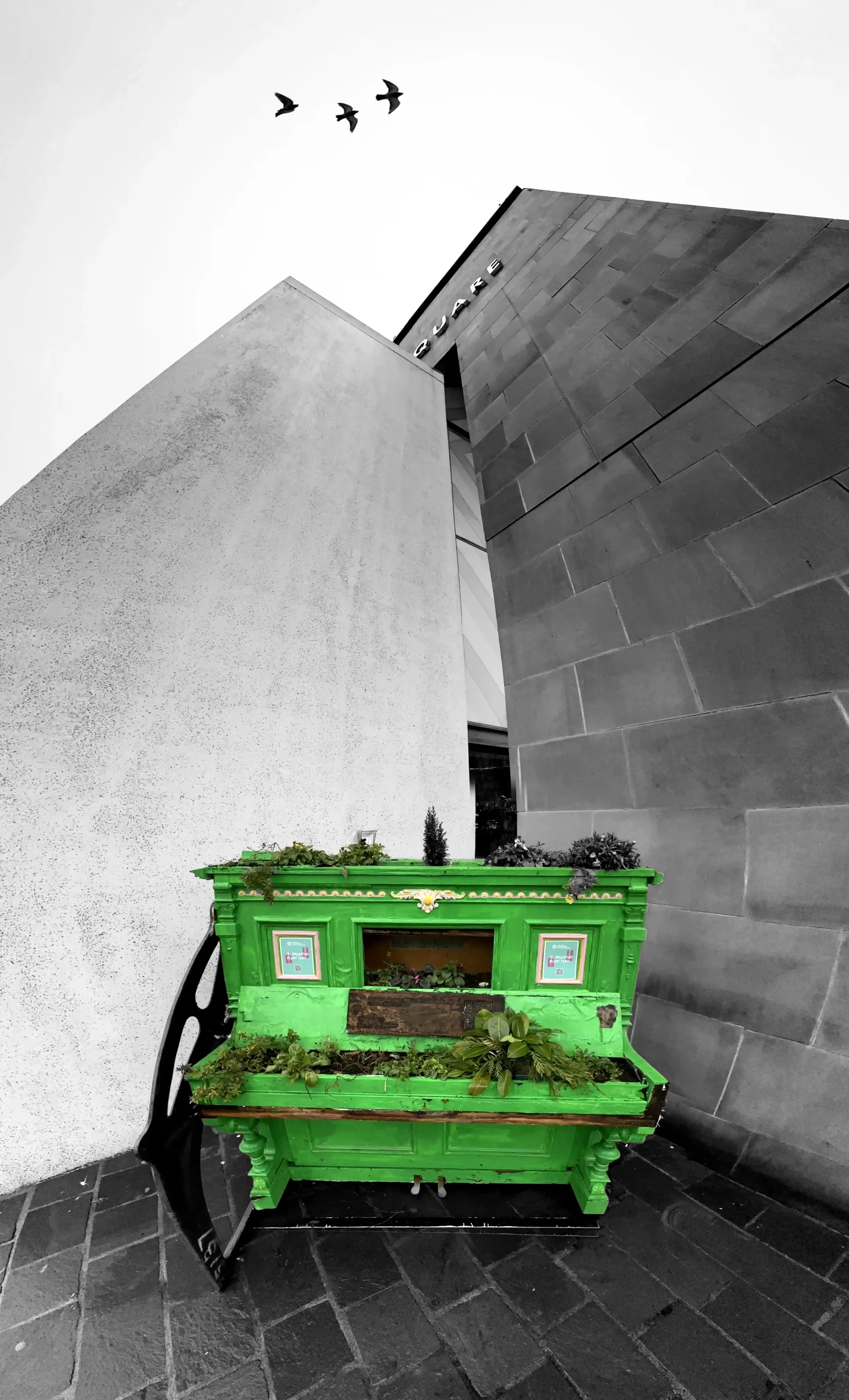 Piano by the Mirror Pool