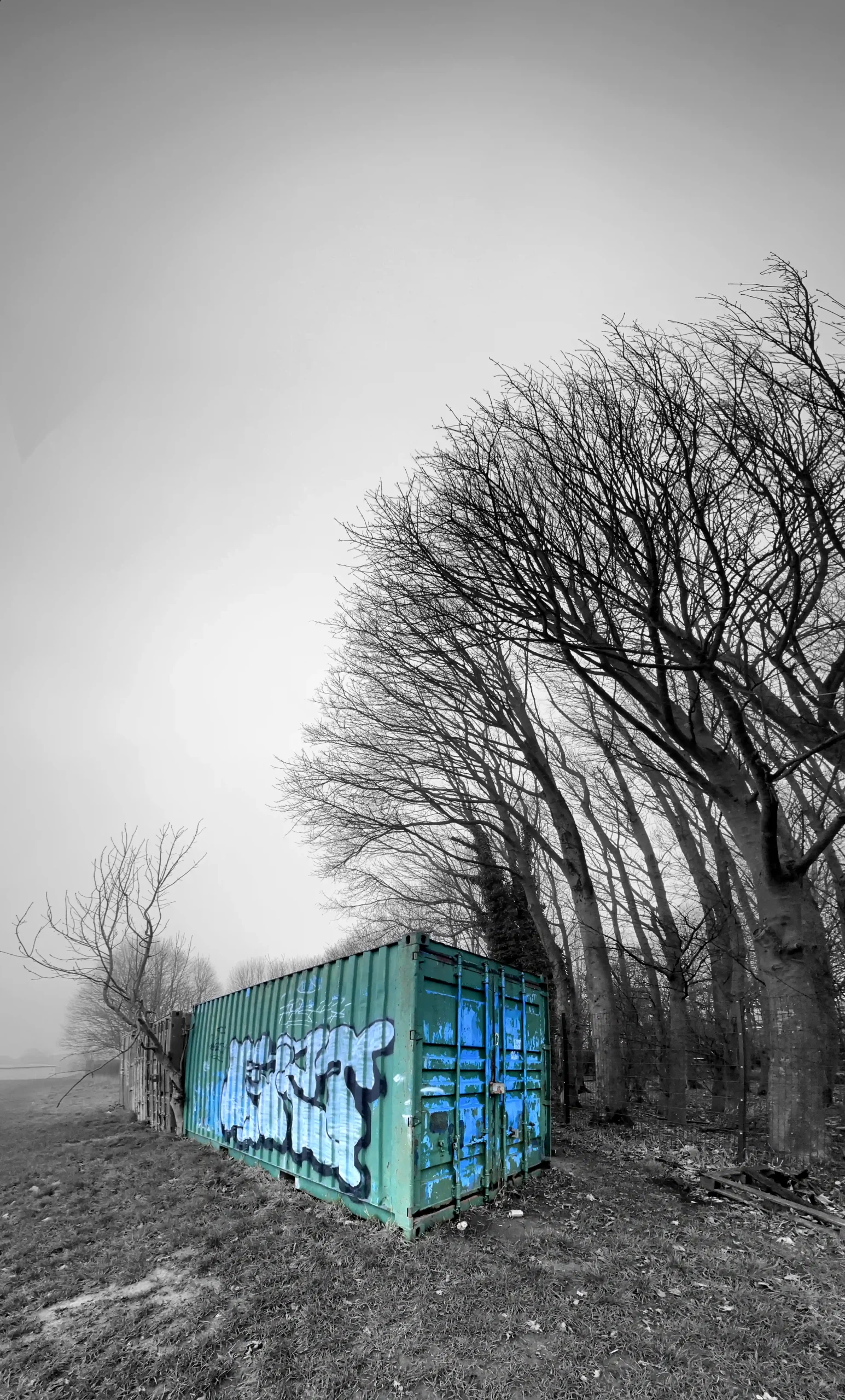 Baildon on a Foggy Day