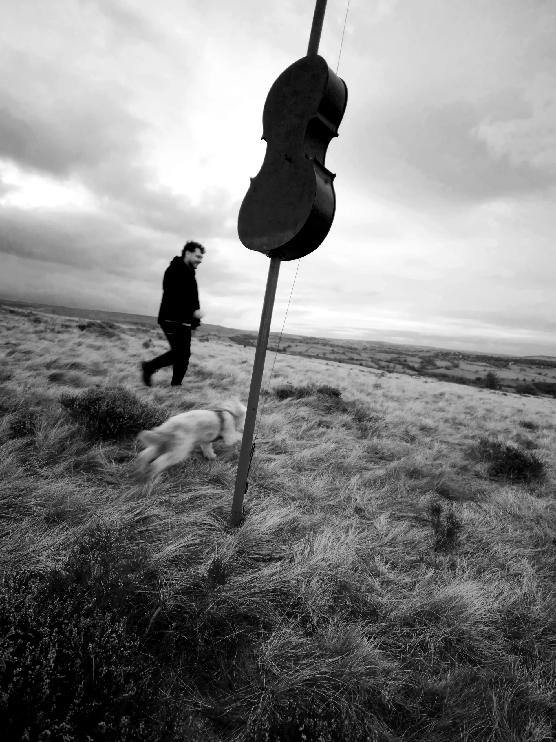 Harmonic Fields on Baildon Moor