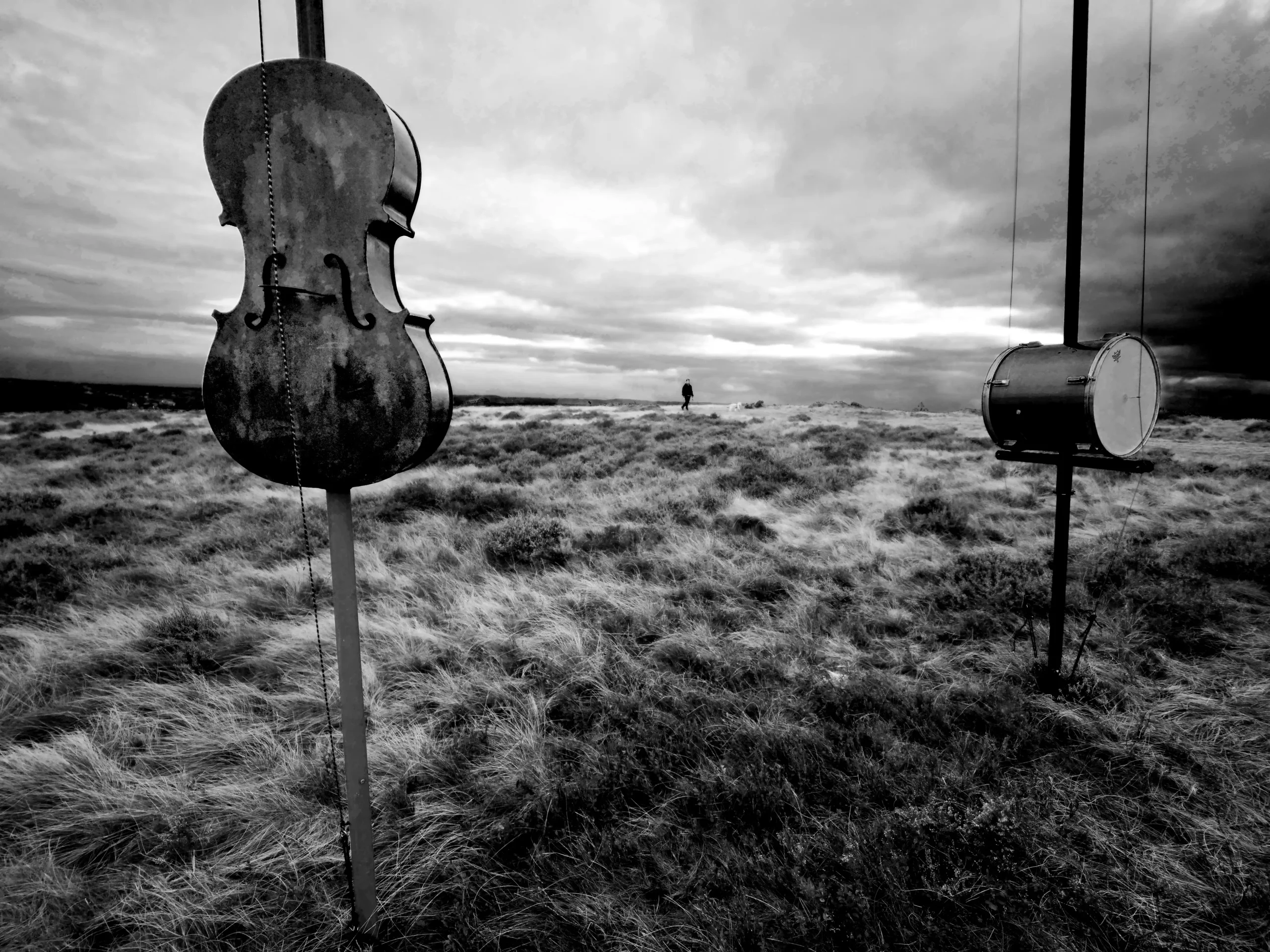 Harmonic Fields on Baildon Moor